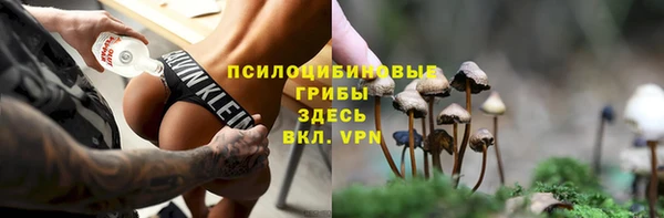 дживик Нея