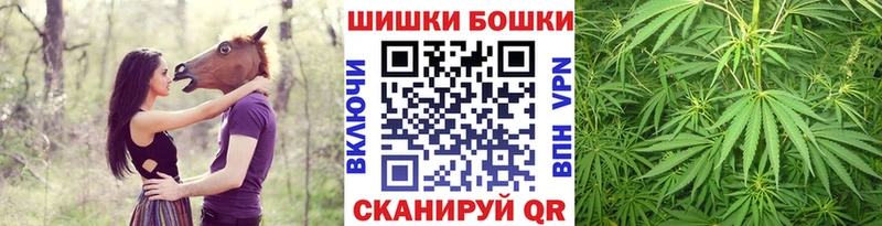 дарнет шоп  Яранск  Шишки марихуана Bruce Banner 